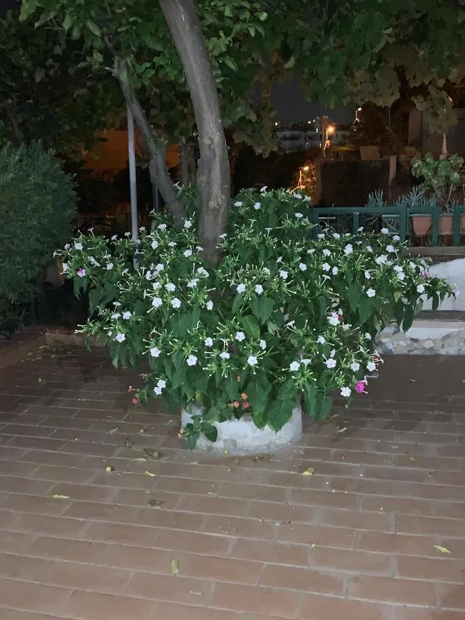 Il Moggio Villa Naples Italy